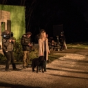 bts_-_durand_house_-_cara_theobold_as_alice_durand_with_the_family_dog_riggs.jpg